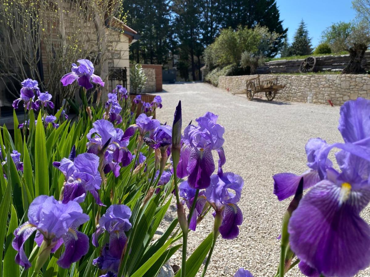 Le Relais De Campagne Bed & Breakfast Trejouls Bagian luar foto